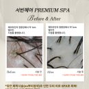 천천동528-3 이미지