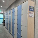 성암생활체육관 체육관 이미지