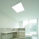 경남화이트 이미지