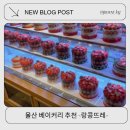 명장 | 울산 베이커리 명장 랑콩뜨레 내돈내산 후기