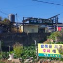 옛날시골보리밥집 이미지