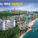 호텔솔라뷰 이미지