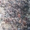 월학농장 이미지