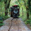 신효동-18 이미지