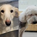 문화동물병원 이미지