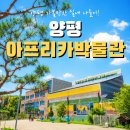 양평아프리키문화예술박물관 | 양평 아이와 가볼만한 곳｜키즈카페 있는 아프리카문화예술박물관 후기