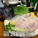 수산장 | [ 안산 고잔동 술집 ] 수산장 내돈내산 후기 : 우럭회·금태구이·생새우회 미쳤다!