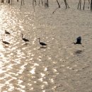 내저선착장 이미지