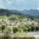 고방찬 남경식당 이미지