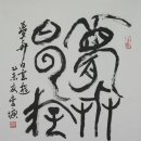 백운유