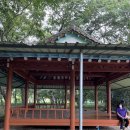 불타는 솥뚜껑 이미지