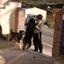 남해-181 이미지