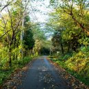 오성산황토한증막 이미지