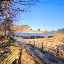 문산태양광발전소 이미지