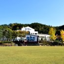 양구군정신건강증진센터 이미지