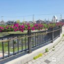 읍시가지 이미지