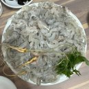 명지시장 주차장 | 부산 명지시장 수림횟집에서 봄도다리 먹은 후기 명지 도다리회 맛집 수림횟집 메뉴 가격