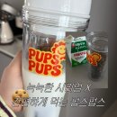펍스 - 13212 | 바쁜아침 직장인 간편식 펍스펍스 솔직후기!!(시리얼 눅눅함 전혀 없는 이유)