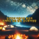 강나루캠핑야영장 이미지