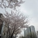 목동8단지(아) 경로당 | 목동 학군지 이사온 지 1년 반 만의 후기 (전직 초등교사 시점)