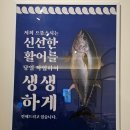 수송로 | 으뜸 스시 회전 초밥집 후기 #군산회전초밥 #수송동초밥 #군산시초밥맛집