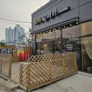 돗배갈매기 이미지