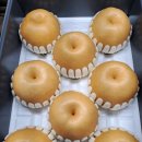 지오농장 이미지