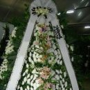예산읍019 Daum카페