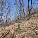 이화령휴게소 앞 이미지