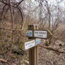 종자산 등산로 이미지