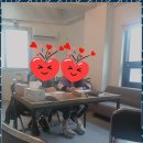 하브루타생각열매연구소 | 조병윤강사 하브루타 생각열매 연구소, 경주의 숨은 보석