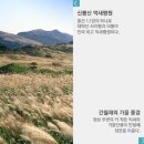 알프스행정 이미지
