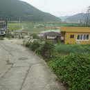 우산천 Daum카페