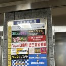더홀릭 이미지