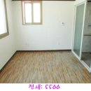 수원청소년문화센터 인라인스케이트장