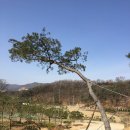 모치울 이미지