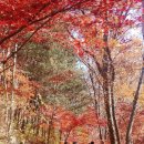 세무사김태훈사무소