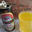 파낙스진생 이미지