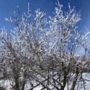 부평길주 이미지