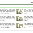 동양일보 소식(4월23일 오늘의 운세) 이미지