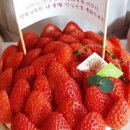 러블리숑숑 네이버블로그