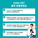 THE힘찬동물병원 | 일산 강아지 정형외과 수술 | 시바견 십자인대 파열 TPLO + ECS 복합 수술 | 쿨펫 킨텍스 동물병원