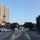 백송온천관광호텔 | [아산 여행 코스] 조선시대 왕들의 온천 온양관광호텔 대온천탕 후기: 온양온천전통시장 투어