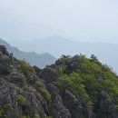 지리산의 아침 Daum카페