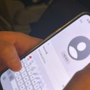 보니의 24년 8월 일상