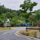 청량산캠핑장 이미지