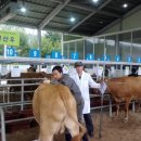 선산한우 표준방송 FMTV