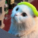 아지트결