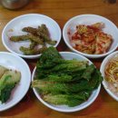 해뜨는댕 이미지