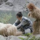 구양도 이미지